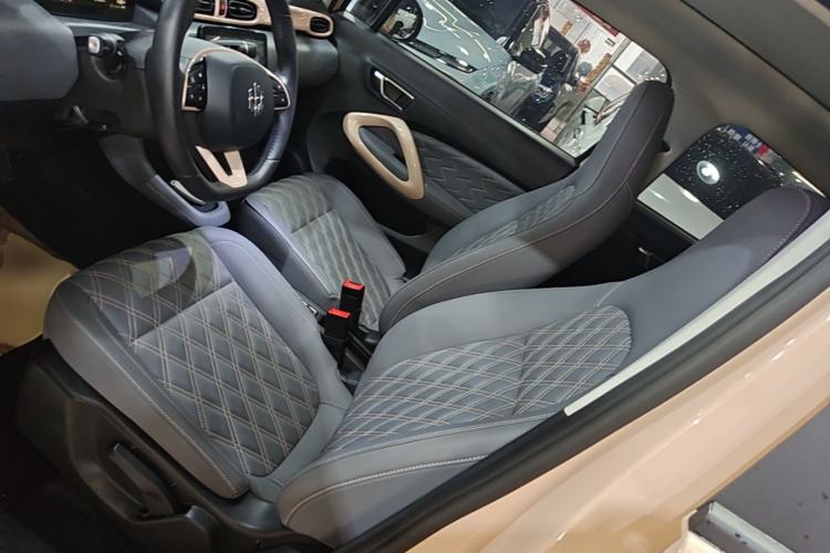 Used Leapmotor T03 2021 400 Luxury Pro Edition Left Front Seat