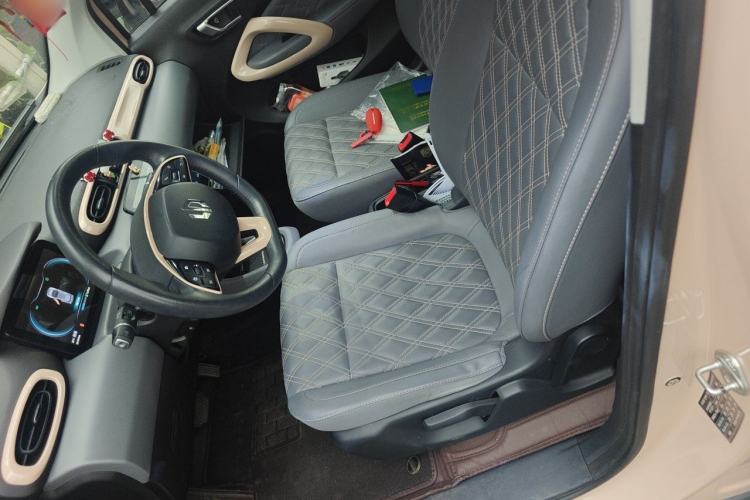 Used Leapmotor T03 2021 400 Luxury Edition Left Front Seat