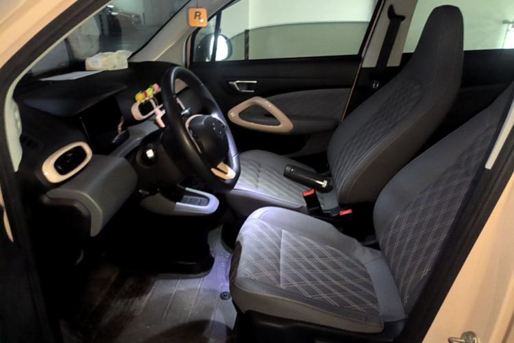 Used Leapmotor T03 2021 400 Luxury Edition Left Front Seat