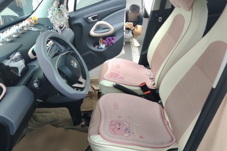 Used Leapmotor T03 2021 400 Comfort Edition Left Front Seat