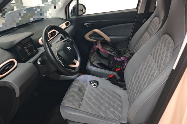 Used Leapmotor T03 2021 400 Luxury Edition Left Front Seat