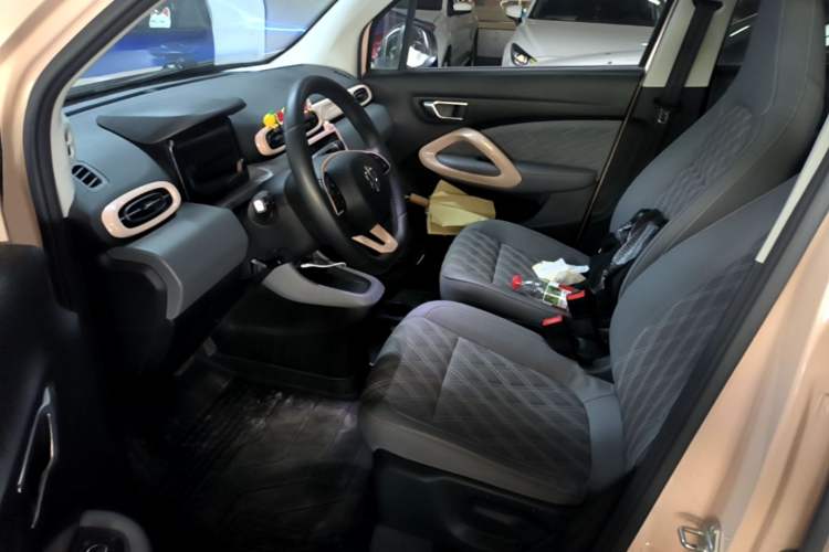 Used Leapmotor T03 2021 400 Luxury Edition Left Front Seat