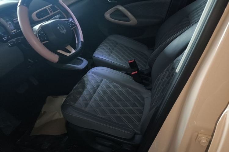 Used Leapmotor T03 2021 400 Luxury Pro Edition Left Front Seat
