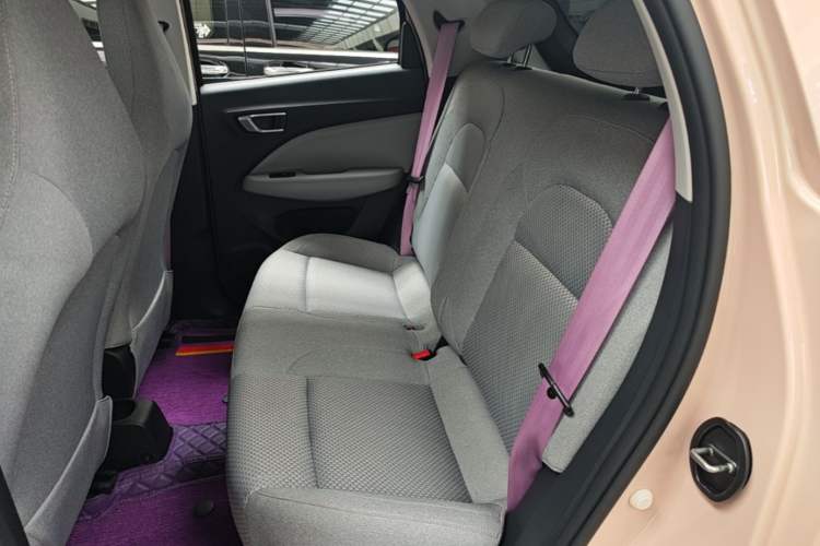 Used Leapmotor T03 2021 400 Online Booking Version Left Rear Seat