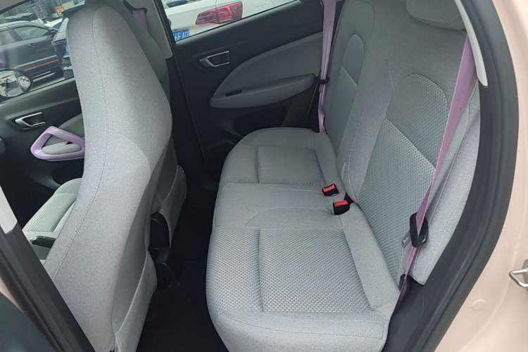 Used Leapmotor T03 2021 400 Micro-Sugar Version Left Rear Seat