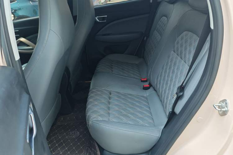 Used Leapmotor T03 2021 400 Luxury Edition Left Rear Seat