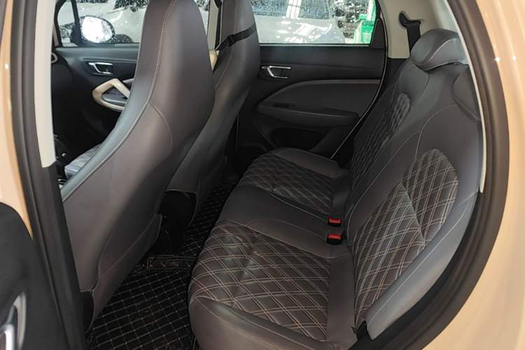 Used Leapmotor T03 2021 400 Luxury Edition Left Rear Seat