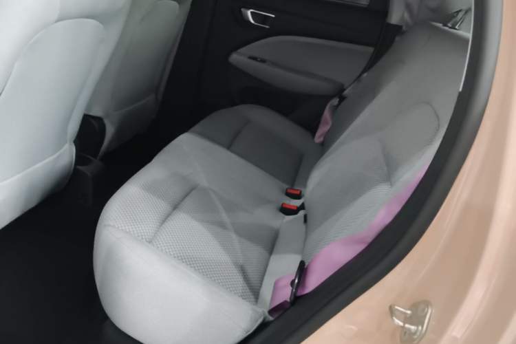 Used Leapmotor T03 2021 400 Micro-Sugar Version Left Rear Seat