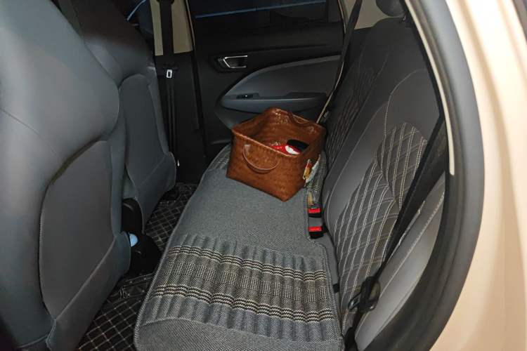 Used Leapmotor T03 2021 400 Luxury Edition Left Rear Seat