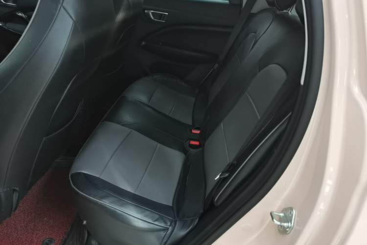 Used Leapmotor T03 2021 400 Micro-Sugar Version Left Rear Seat