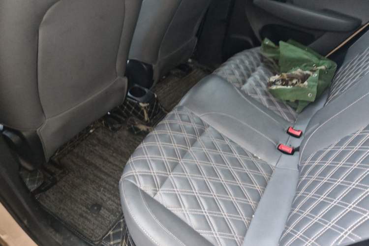 Used Leapmotor T03 2021 400 Luxury Edition Left Rear Seat
