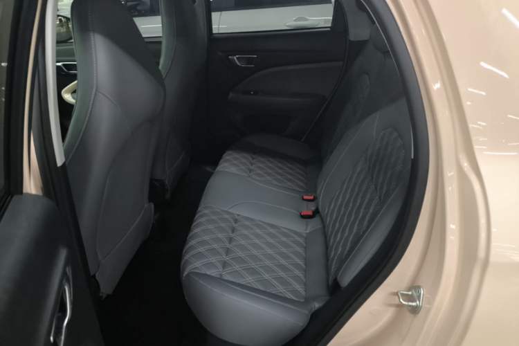 Used Leapmotor T03 2021 400 Luxury Pro Edition Left Rear Seat