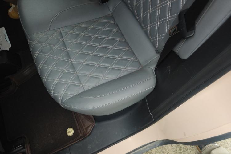 Used Leapmotor T03 2021 400 Luxury Edition Left Rear Seat