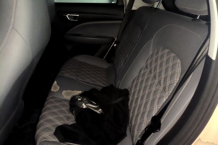 Used Leapmotor T03 2021 400 Luxury Edition Left Rear Seat