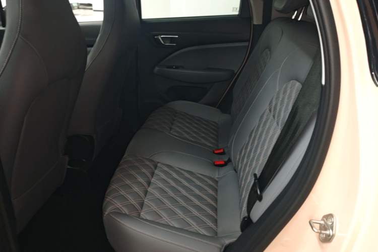 Used Leapmotor T03 2021 400 Luxury Edition Left Rear Seat