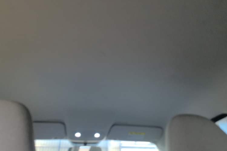 Used Leapmotor T03 2021 400 Micro-Sugar Version Headliner