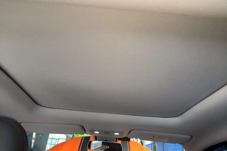 Used Leapmotor T03 2021 400 Luxury Edition Headliner