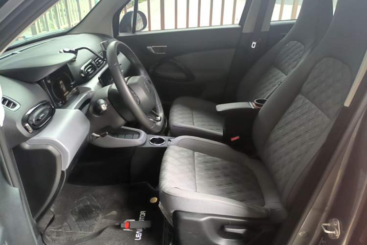 Used Leapmotor T03 2021 400 Luxury Edition Left Front Seat