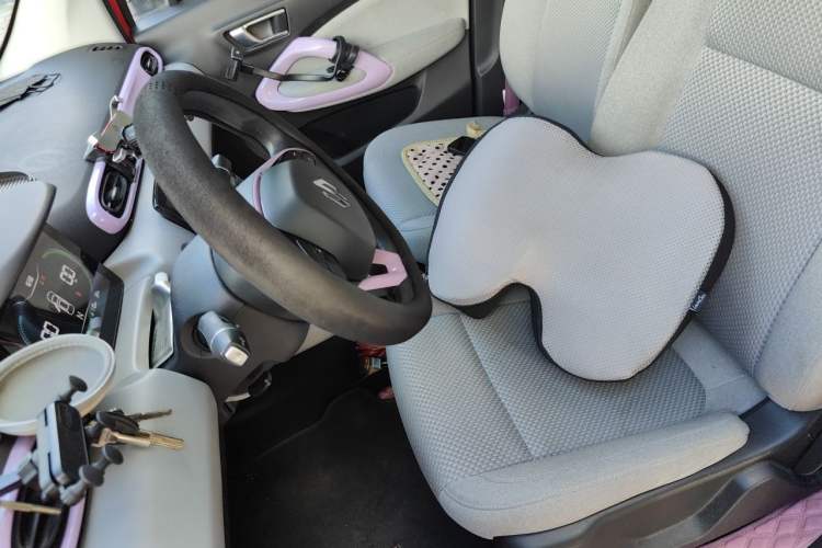 Used Leapmotor T03 2021 400 Micro-Sugar Version Left Front Seat