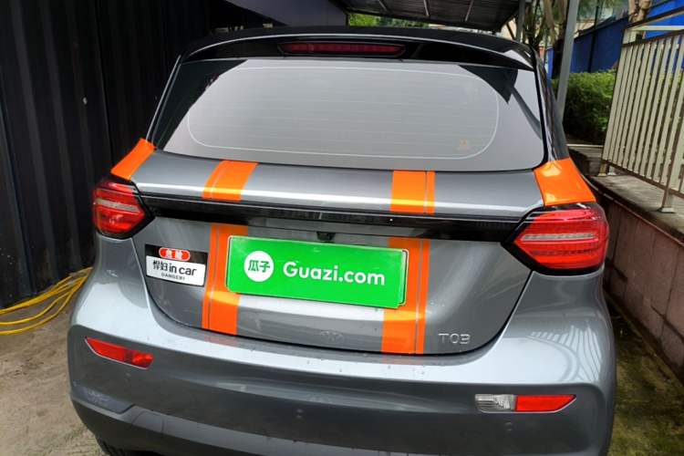 Used Leapmotor T03 2021 400 Luxury Edition Rear