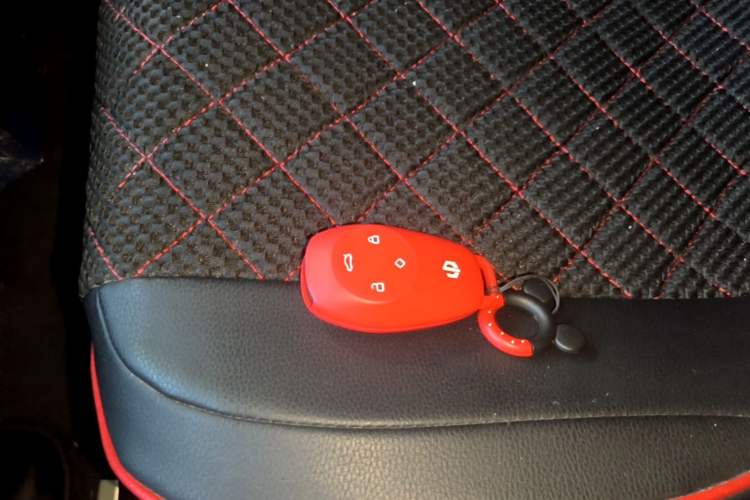 Used Leapmotor T03 2021 400 Lite Edition - Lithium-Ion Battery Vehicle Key