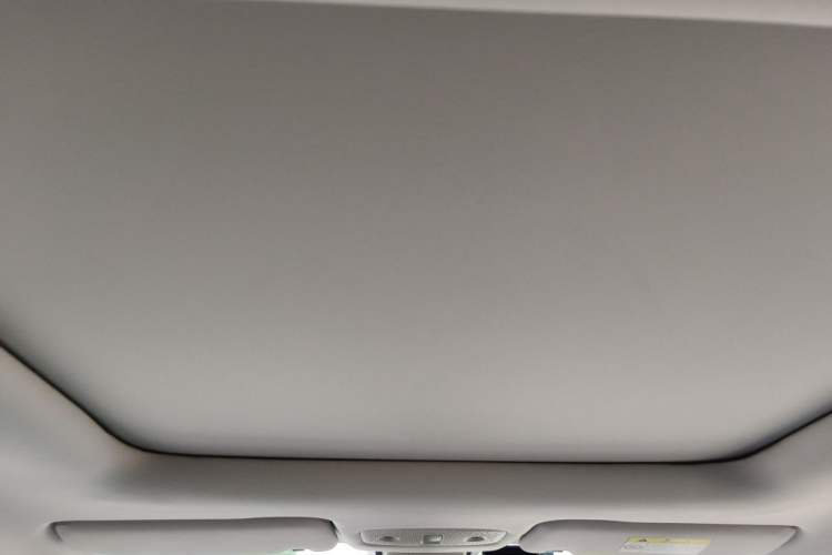 Used Leapmotor T03 2021 400 Luxury Pro Edition Headliner