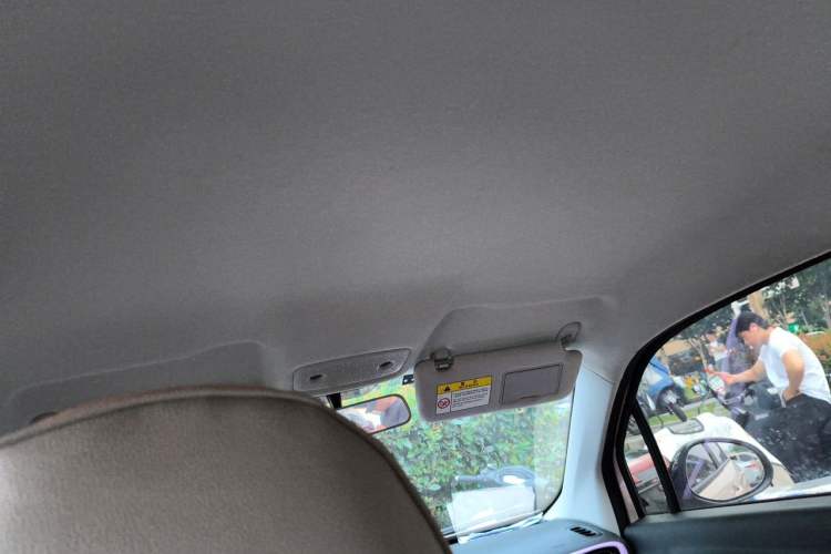 Used Leapmotor T03 2021 400 Micro-Sugar Version Headliner