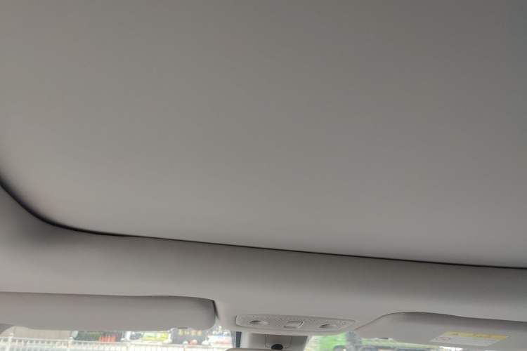 Used Leapmotor T03 2021 400 Luxury Edition Headliner