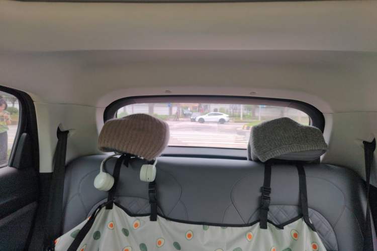Used Leapmotor T03 2021 400 Luxury Pro Edition Headliner