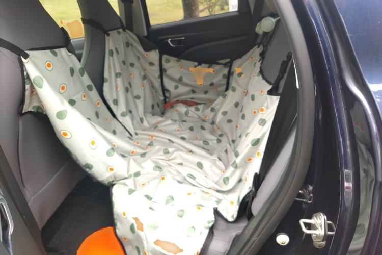 Used Leapmotor T03 2021 400 Luxury Pro Edition Left Rear Seat