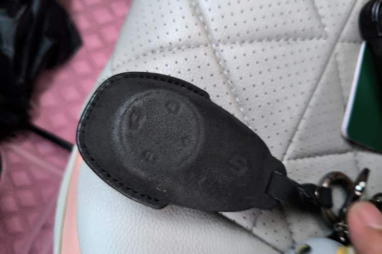 Used Leapmotor T03 2021 400 Micro-Sugar Version Vehicle Key