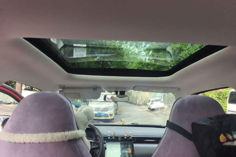 Used Leapmotor T03 2021 400 Comfort Edition Headliner