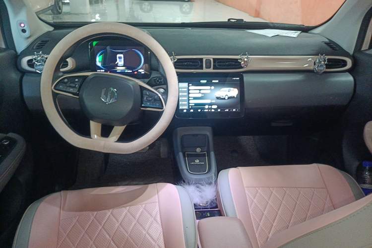 Used Leapmotor T03 2021 400 Luxury Edition Center Console