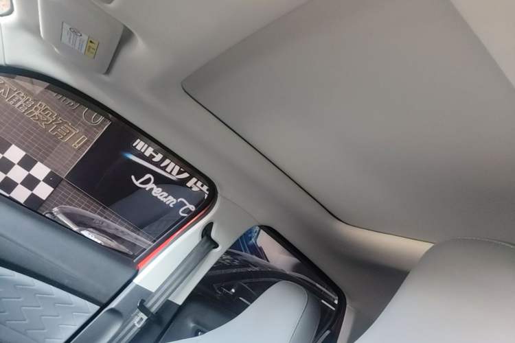 Used Leapmotor T03 2021 400 Comfort Edition Headliner