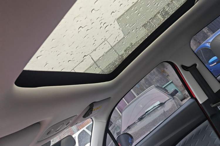 Used Leapmotor T03 2021 400 Luxury Edition Headliner