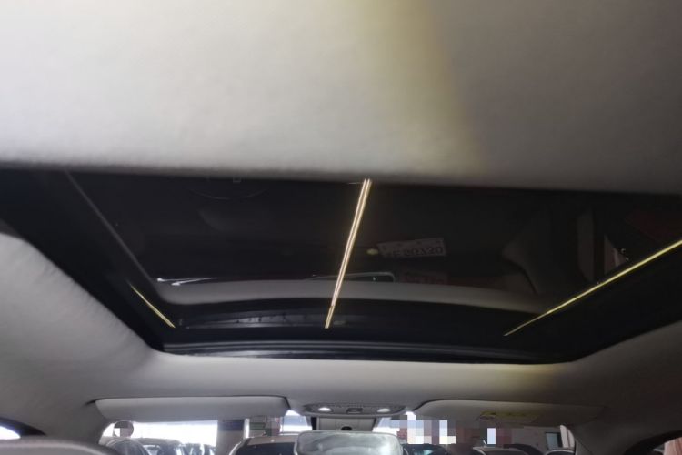 Used Leapmotor T03 2021 400 Luxury Pro Edition Headliner