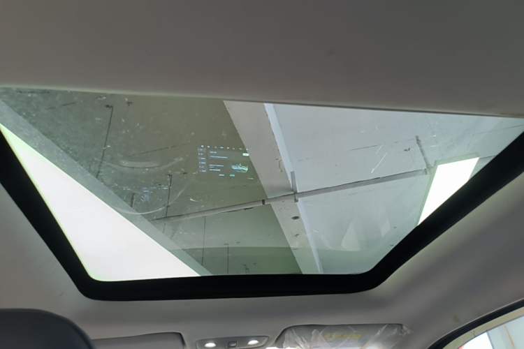 Used Leapmotor T03 2021 400 Comfort Edition Headliner