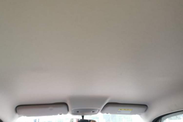 Used Leapmotor T03 2021 400 Micro-Sugar Version Headliner