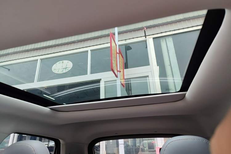 Used Leapmotor T03 2021 400 Micro-Sugar Version Headliner