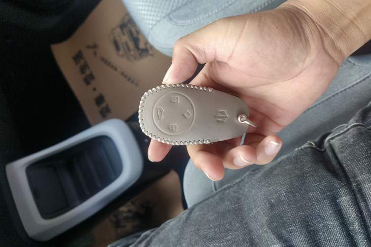 Used Leapmotor T03 2021 400 Micro-Sugar Version Interior 1