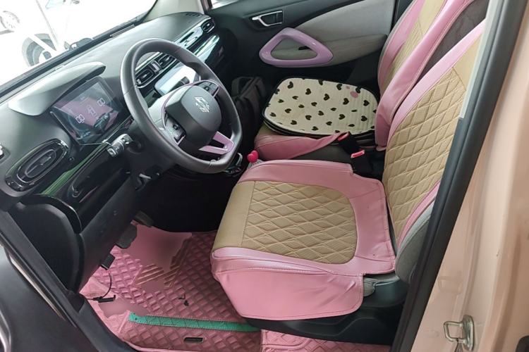 Used Leapmotor T03 2021 400 Micro-Sugar Version Left Front Seat