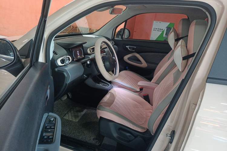 Used Leapmotor T03 2021 400 Luxury Edition Left Front Seat