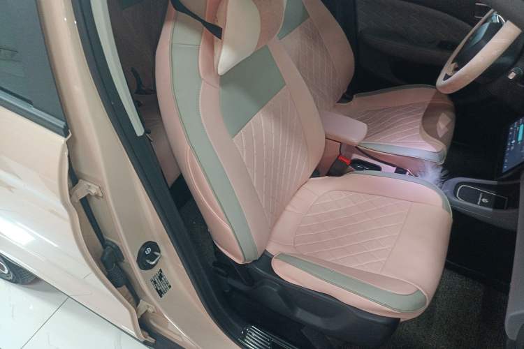 Used Leapmotor T03 2021 400 Luxury Edition Right Front Seat