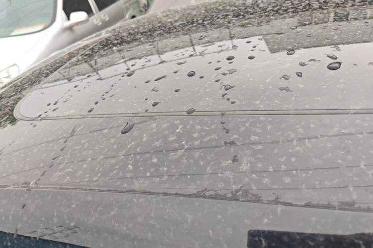 Used Leapmotor T03 2021 400 Luxury Edition Roof