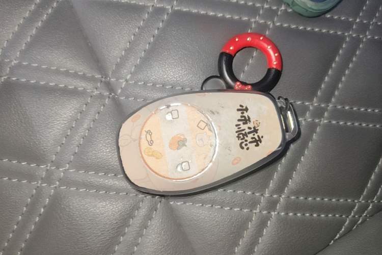 Used Leapmotor T03 2021 400 Comfort Edition Vehicle Key