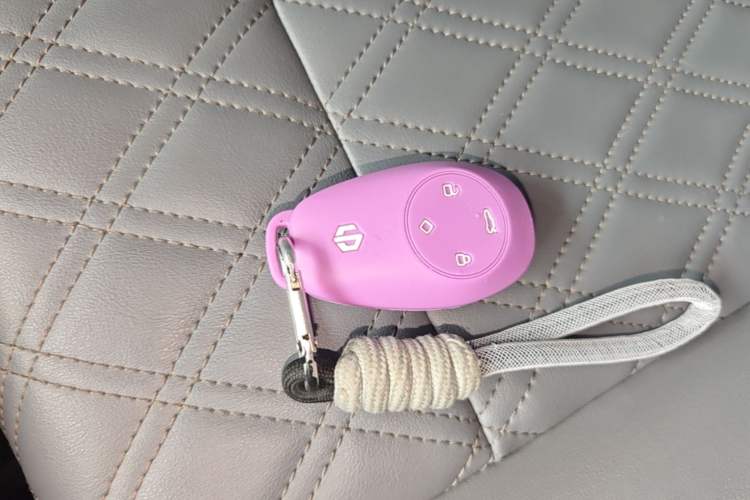Used Leapmotor T03 2021 400 Luxury Edition Vehicle Key