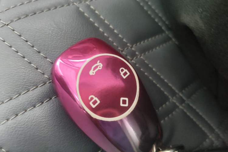 Used Leapmotor T03 2021 400 Luxury Edition Vehicle Key