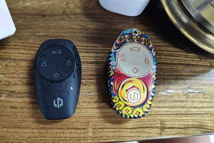 Used Leapmotor T03 2021 400 Micro-Sugar Version Vehicle Key