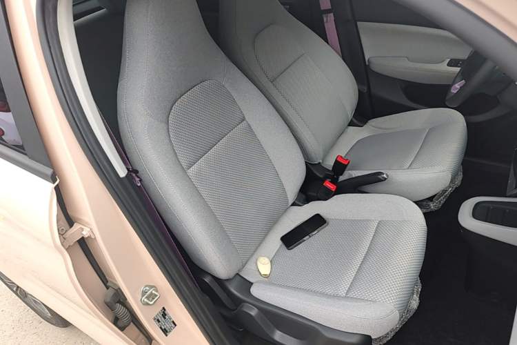 Used Leapmotor T03 2021 400 Micro-Sugar Version Right Front Seat