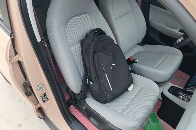 Used Leapmotor T03 2021 400 Micro-Sugar Version Right Front Seat